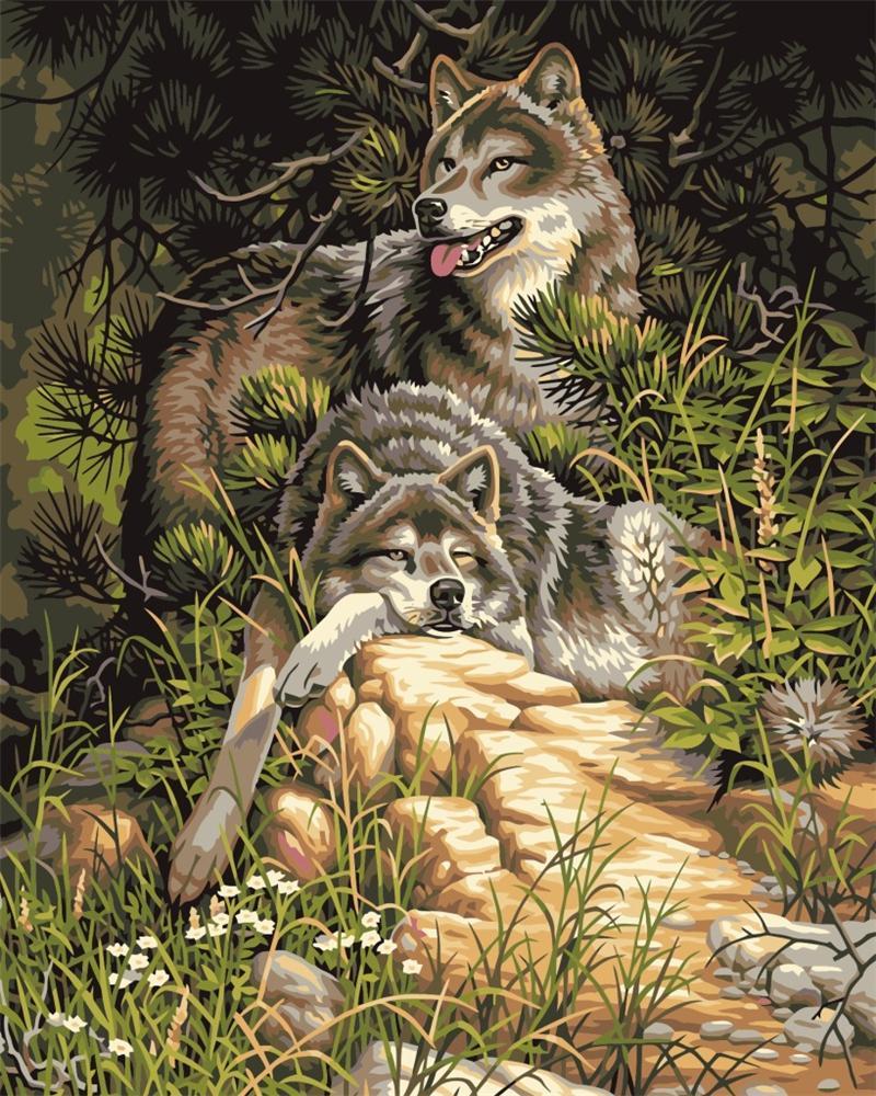 Lounging Wolves - Van-Go Malt-etter-nummerset | Skanto