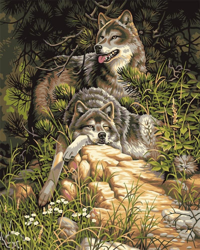 Lounging Wolves - Van-Go Malt-etter-nummerset | Skanto