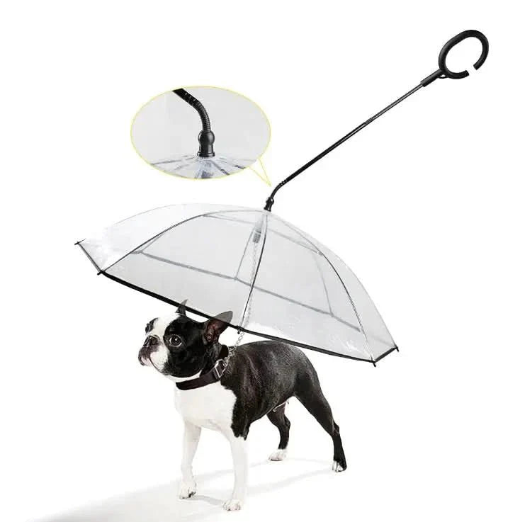 Transparenter Regenschirm für Hunde