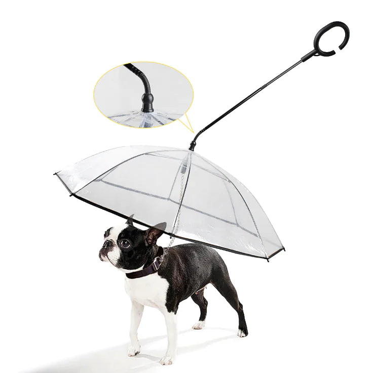 ClearPaws Parasol Bolheis